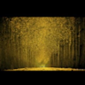 Meet your Posher, Henry